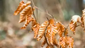 Przedwiośnie na mazurskich polach i łąkach, marzec 2021 - zdjęcie 24