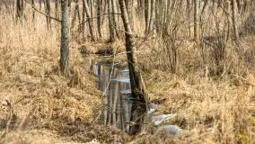 Przedwiośnie na mazurskich polach i łąkach, marzec 2021 - zdjęcie 62