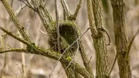 Przedwiośnie na mazurskich polach i łąkach, marzec 2021 - zdjęcie 51