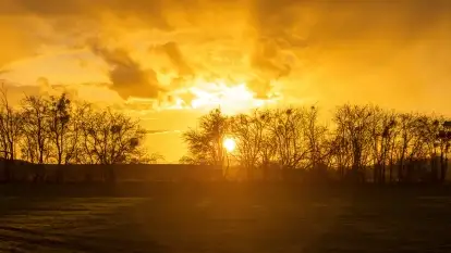 Przedwiośnie na mazurskich polach i łąkach, marzec 2021