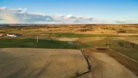 Początki wiosny 2022, leśne krajobrazy - zdjęcie 33