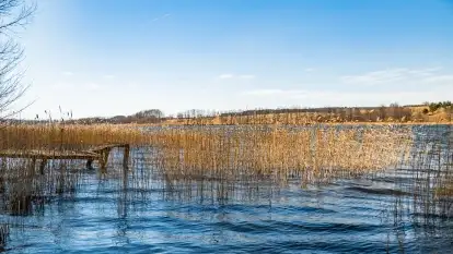 Początki wiosny 2022, leśne krajobrazy