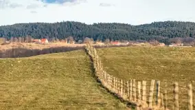 Początki wiosny 2022, leśne krajobrazy - zdjęcie 40