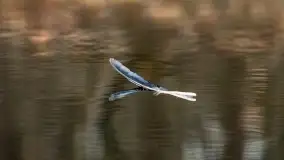 Początki wiosny 2022, leśne krajobrazy - zdjęcie 57