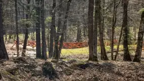 Początki wiosny 2022, leśne krajobrazy - zdjęcie 56