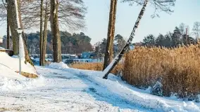 Stranda w pięknej, grudniowej i zimowej scenerii - zdjęcie 5