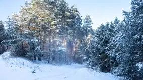 Zimowe okolice Szczytna na zdjęciach Marty Sotnik - zdjęcie 1