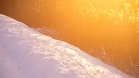 Zimowe okolice Szczytna na zdjęciach Marty Sotnik - zdjęcie 15