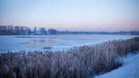 Zimowe okolice Szczytna na zdjęciach Marty Sotnik - zdjęcie 2