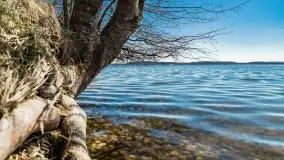 Cmentarz wojenny Jagerhohe i jezioro Święcajty na początku wiosny, 2022 - zdjęcie 15