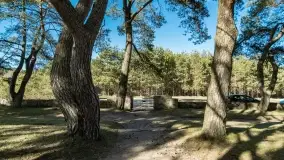 Cmentarz wojenny Jagerhohe i jezioro Święcajty na początku wiosny, 2022 - zdjęcie 46