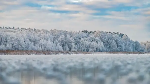Bajkowe i zimowe klimaty nad jeziorem Dargin, grudzień 2022 - zdjęcie 2