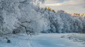 Bajkowe i zimowe klimaty nad jeziorem Dargin, grudzień 2022 - zdjęcie 15