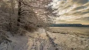 Bajkowe i zimowe klimaty nad jeziorem Dargin, grudzień 2022 - zdjęcie 38