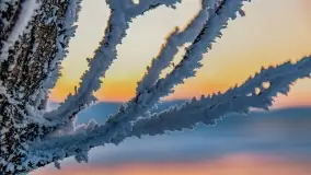 Bajkowe i zimowe klimaty nad jeziorem Dargin, grudzień 2022 - zdjęcie 37