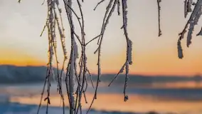 Bajkowe i zimowe klimaty nad jeziorem Dargin, grudzień 2022 - zdjęcie 70