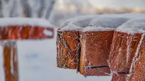 Bajkowe klimaty z zameldowaniem na łonie natury - zdjęcie 36