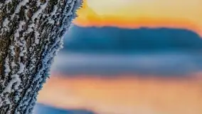 Bajkowe klimaty z zameldowaniem na łonie natury - zdjęcie 12