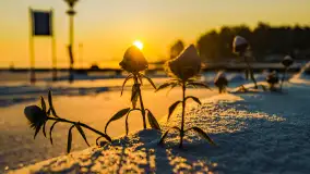 Zimowy wschód słońca w PTTK Wilkasy nad jeziorem Niegocin - zdjęcie 27