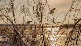 Zima nad Darginem w Zdorkowie w Harszu - zdjęcie 27