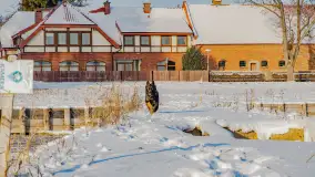 Zima nad Darginem w Zdorkowie w Harszu - zdjęcie 9