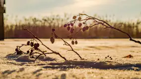 Zima nad Darginem w Zdorkowie w Harszu - zdjęcie 30