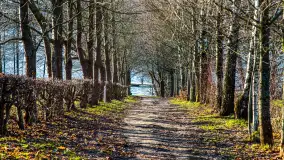 Zima już bez śniegu w Trygorcie, końcówka 2022 roku - zdjęcie 19