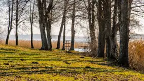 Zima już bez śniegu w Trygorcie, końcówka 2022 roku - zdjęcie 24