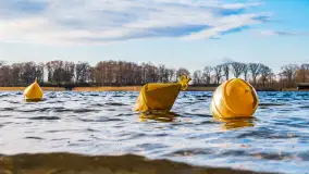 Zima już bez śniegu w Trygorcie, końcówka 2022 roku - zdjęcie 4