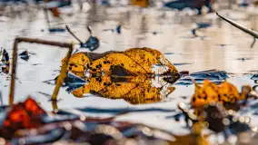 Zima już bez śniegu w Trygorcie, końcówka 2022 roku - zdjęcie 23