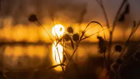 Grudniowy zachód słońca nad jeziorem Łabap - zdjęcie 28