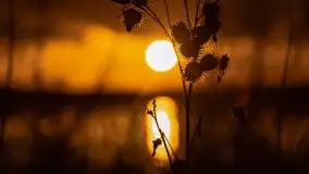 Grudniowy zachód słońca nad jeziorem Łabap - zdjęcie 12