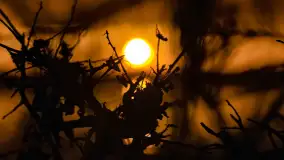 Grudniowy zachód słońca nad jeziorem Łabap - zdjęcie 8