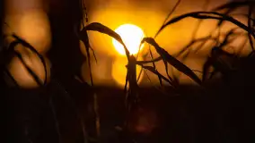 Grudniowy zachód słońca nad jeziorem Łabap - zdjęcie 30