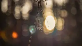 Styczniowy spacer po lesie w okolicach Rucianego-Nidy - zdjęcie 10