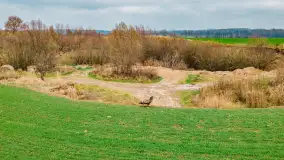 Wiosenny mix ujęć, kwiecień - czerwiec 2022 r. - zdjęcie 20