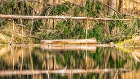 Wiosenny mix ujęć, kwiecień - czerwiec 2022 r. - zdjęcie 61