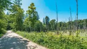 Wiosenny mix ujęć, kwiecień - czerwiec 2022 r. - zdjęcie 69