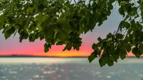 Wiosenny mix ujęć, kwiecień - czerwiec 2022 r. - zdjęcie 86