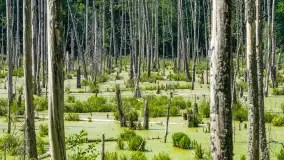 Wiosenny mix ujęć, kwiecień - czerwiec 2022 r. - zdjęcie 85