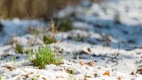 Trochę wiosny, trochę zimy... - zdjęcie 28