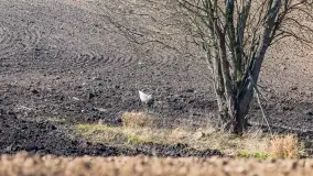Trochę wiosny, trochę zimy... - zdjęcie 2