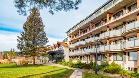 Wiosenne popołudnie w środku zimy w Mazurskim Raju, styczeń 2023 - zdjęcie 2