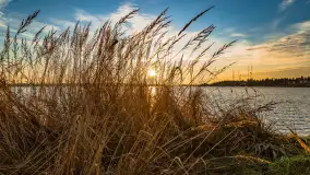 Zachód słońca w Rynie, jezioro Ryńskie, styczeń 2023 - zdjęcie 39