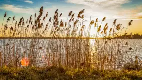 Zachód słońca w Rynie, jezioro Ryńskie, styczeń 2023 - zdjęcie 46