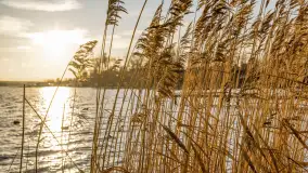 Zachód słońca w Rynie, jezioro Ryńskie, styczeń 2023 - zdjęcie 26