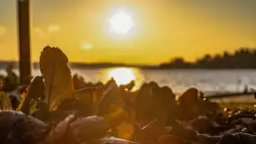 Zachód słońca w Rynie, jezioro Ryńskie, styczeń 2023 - zdjęcie 33