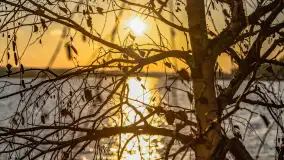 Zachód słońca w Rynie, jezioro Ryńskie, styczeń 2023 - zdjęcie 35