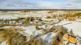 Rzeka Dajna i okolice, luty 2023 - zdjęcie 46