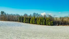 Rzeka Dajna i okolice, luty 2023 - zdjęcie 8